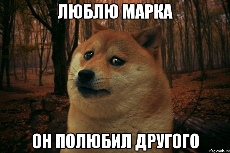 ЛЮБЛЮ МАРКА ОН ПОЛЮБИЛ ДРУГОГО, Мем SAD DOGE