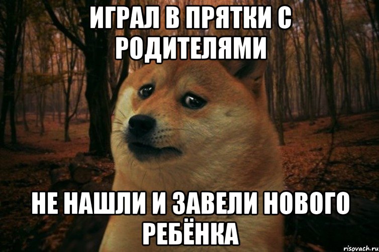 играл в прятки с родителями не нашли и завели нового ребёнка, Мем SAD DOGE