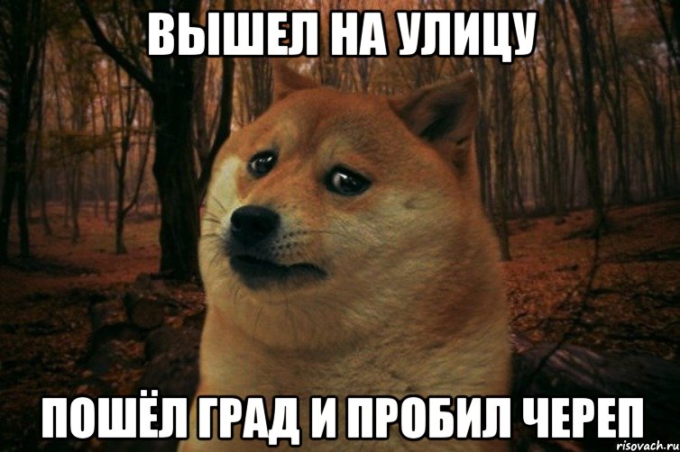 Вышел на улицу Пошёл град и пробил череп, Мем SAD DOGE