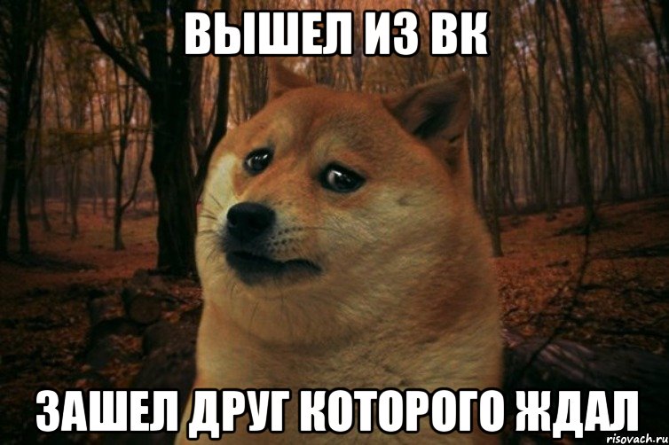 вышел из вк зашел друг которого ждал, Мем SAD DOGE