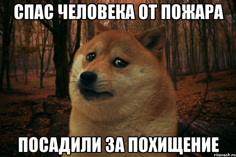 спас человека от пожара посадили за похищение, Мем SAD DOGE