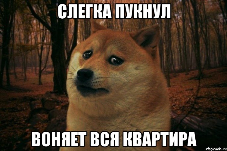 СЛЕГКА ПУКНУЛ ВОНЯЕТ ВСЯ КВАРТИРА, Мем SAD DOGE