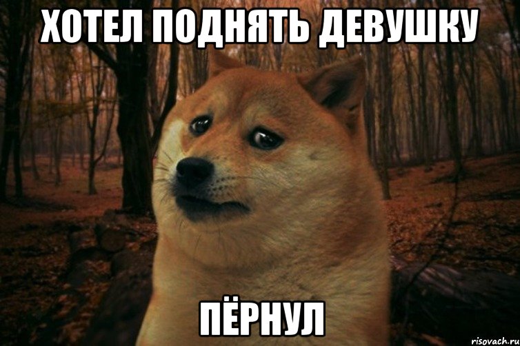 ХОТЕЛ ПОДНЯТЬ ДЕВУШКУ ПЁРНУЛ, Мем SAD DOGE