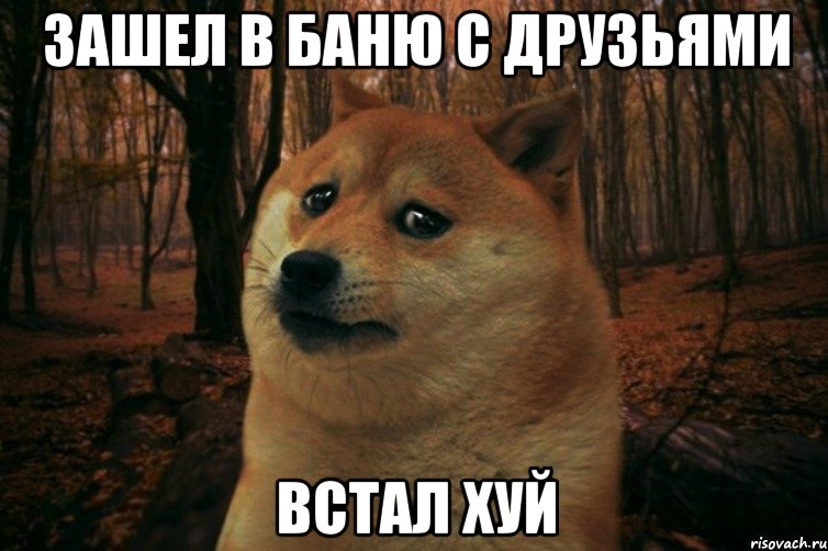 зашел в баню с друзьями встал хуй, Мем SAD DOGE