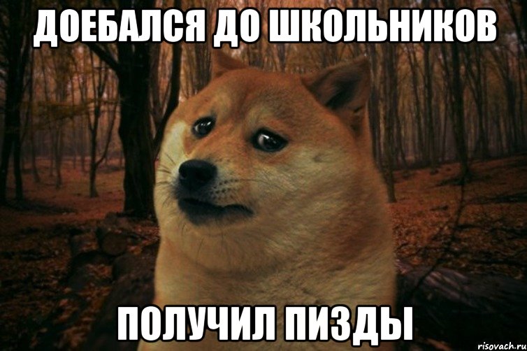 доебался до школьников получил пизды, Мем SAD DOGE