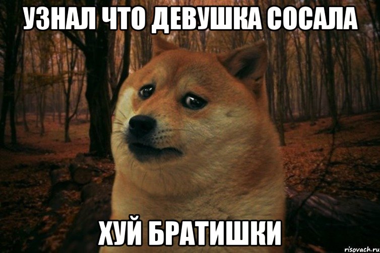 узнал что девушка сосала хуй братишки, Мем SAD DOGE