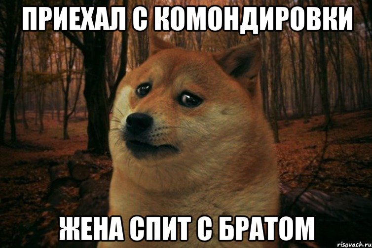 приехал с комондировки жена спит с братом, Мем SAD DOGE