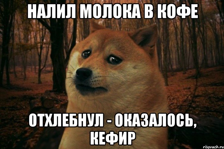 Налил молока в кофе Отхлебнул - оказалось, кефир, Мем SAD DOGE