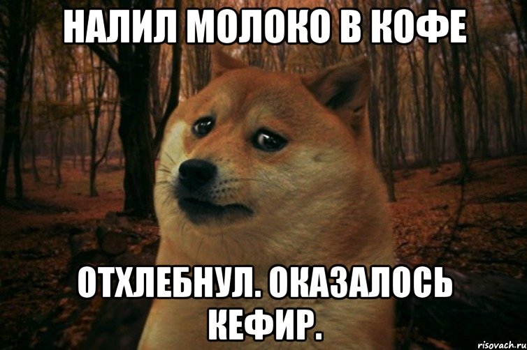 Налил молоко в кофе Отхлебнул. Оказалось кефир., Мем SAD DOGE