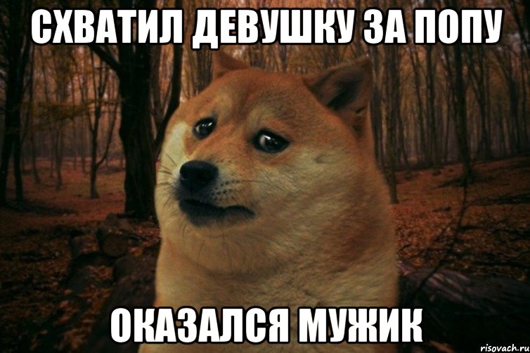 Схватил девушку за попу Оказался мужик, Мем SAD DOGE