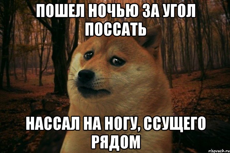 Пошел ночью за угол поссать Нассал на ногу, ссущего рядом, Мем SAD DOGE