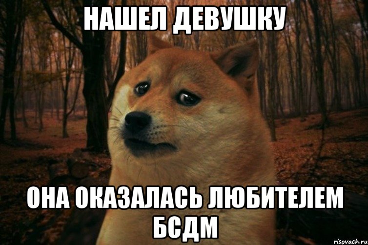 нашел девушку она оказалась любителем бсдм, Мем SAD DOGE