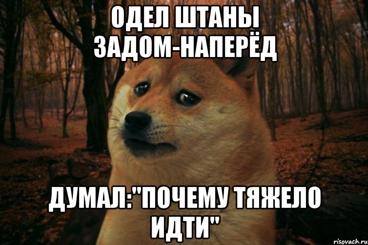 Одел штаны задом-наперёд Думал:"Почему тяжело идти", Мем SAD DOGE