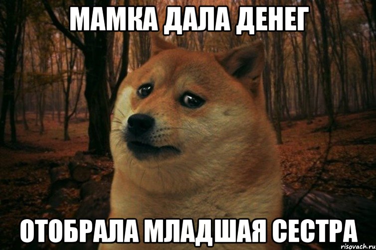 мамка дала денег отобрала младшая сестра, Мем SAD DOGE