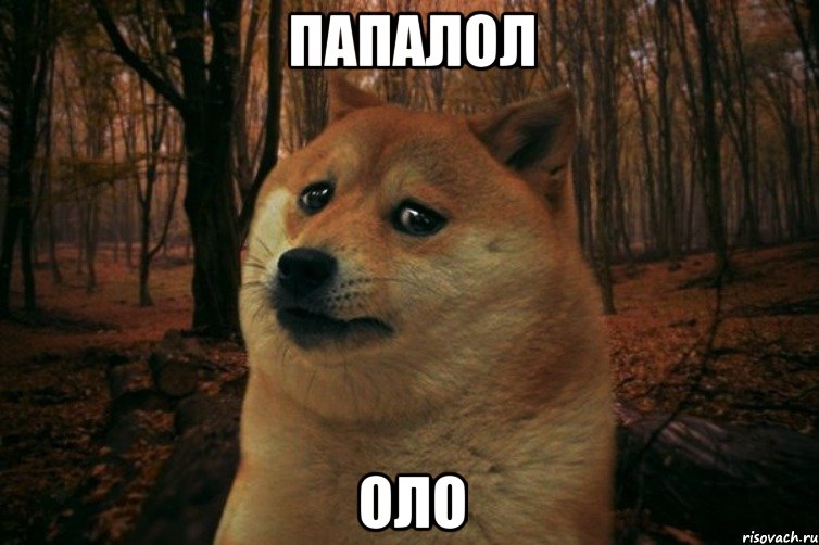 папалол оло, Мем SAD DOGE