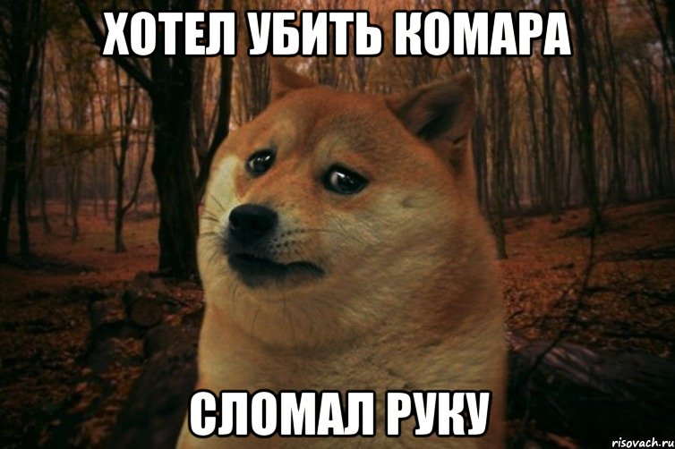 Хотел убить комара Сломал руку, Мем SAD DOGE