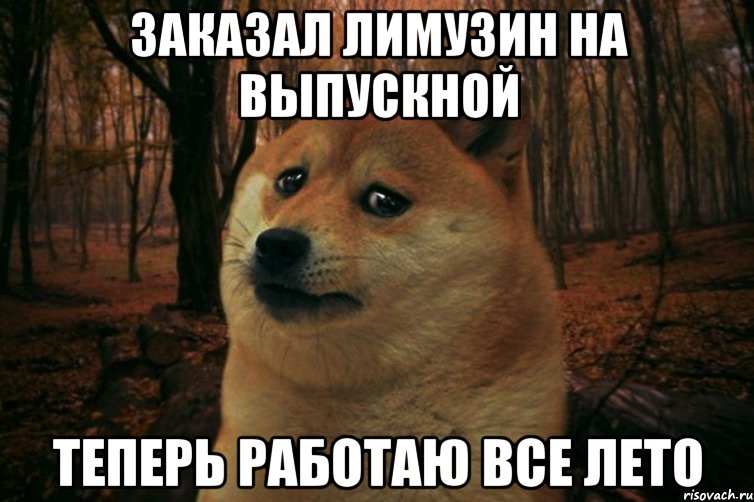 ЗАКАЗАЛ ЛИМУЗИН НА ВЫПУСКНОЙ ТЕПЕРЬ РАБОТАЮ ВСЕ ЛЕТО, Мем SAD DOGE