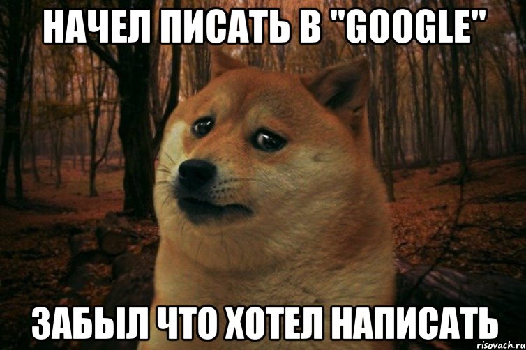 Начел писать в "Googlе" Забыл что хотел написать, Мем SAD DOGE