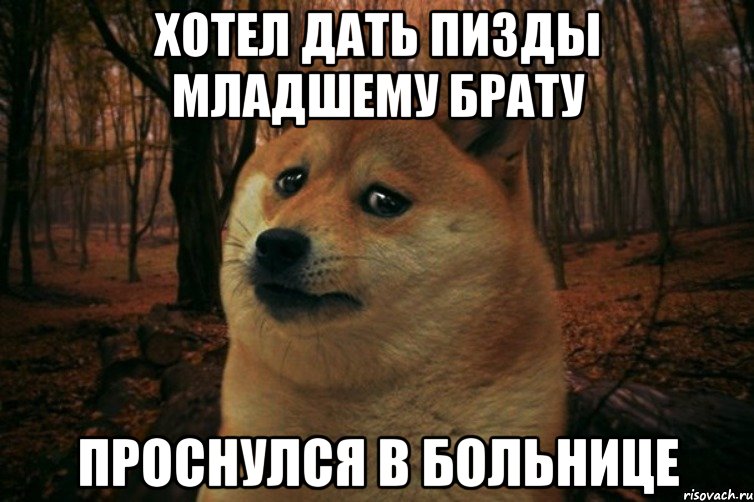 хотел дать пизды младшему брату проснулся в больнице, Мем SAD DOGE