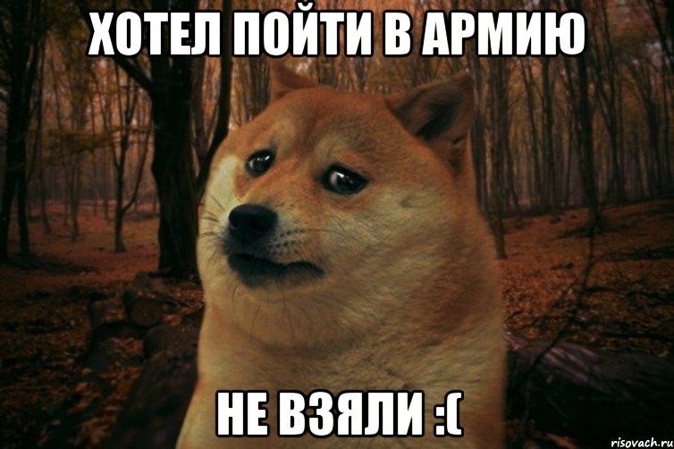 хотел пойти в армию не взяли :(, Мем SAD DOGE