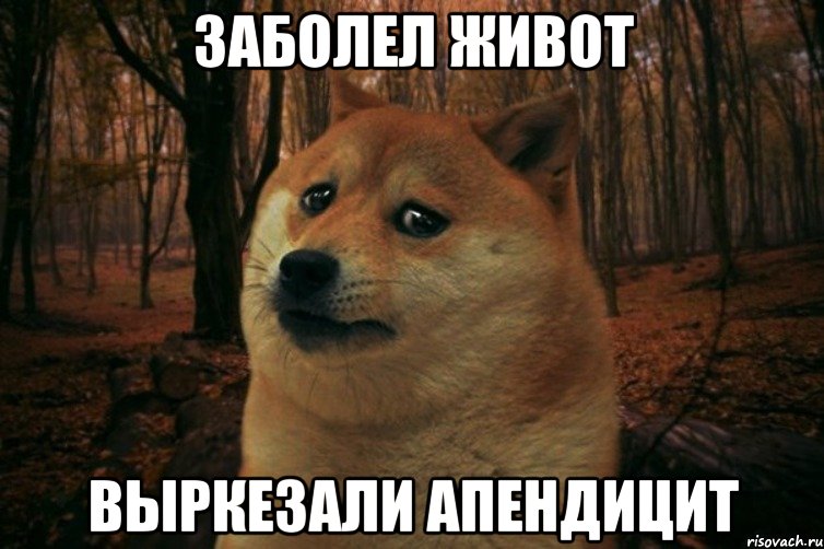 ЗАБОЛЕЛ ЖИВОТ ВЫРКЕЗАЛИ АПЕНДИЦИТ, Мем SAD DOGE