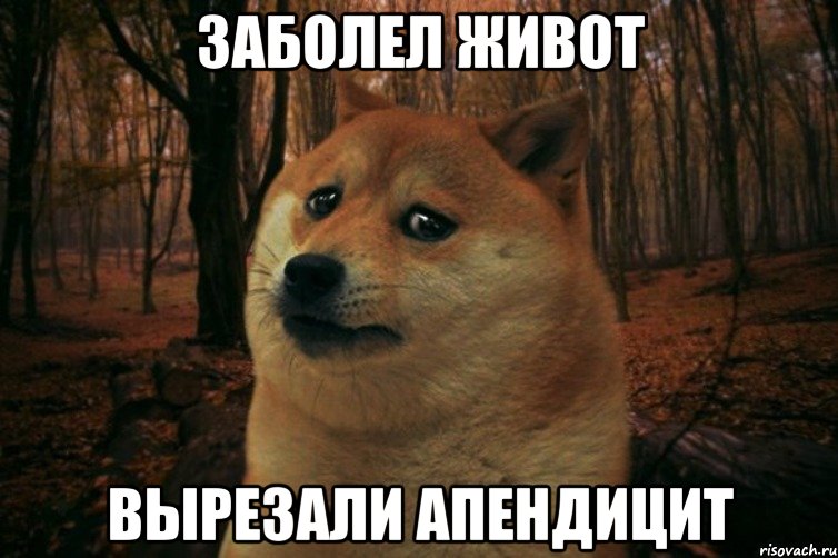 ЗАБОЛЕЛ ЖИВОТ ВЫРЕЗАЛИ АПЕНДИЦИТ, Мем SAD DOGE