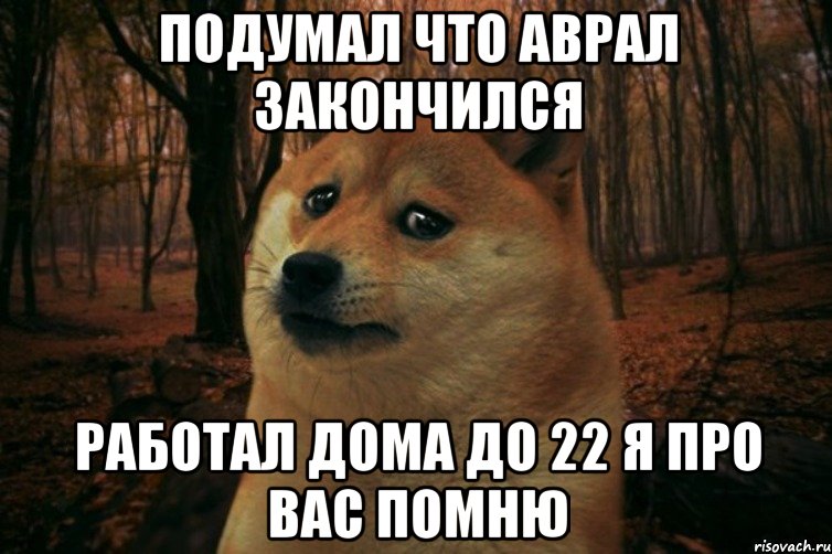 Подумал что аврал закончился работал дома до 22 Я про вас помню, Мем SAD DOGE