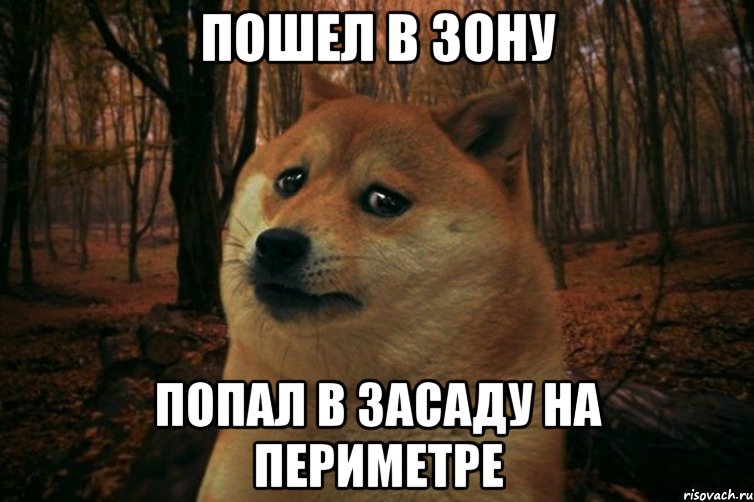 Пошел в Зону Попал в засаду на периметре, Мем SAD DOGE