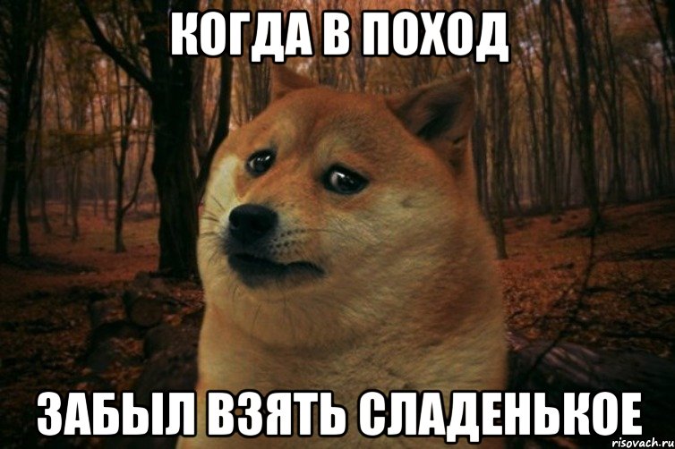 Когда в поход забыл взять сладенькое, Мем SAD DOGE