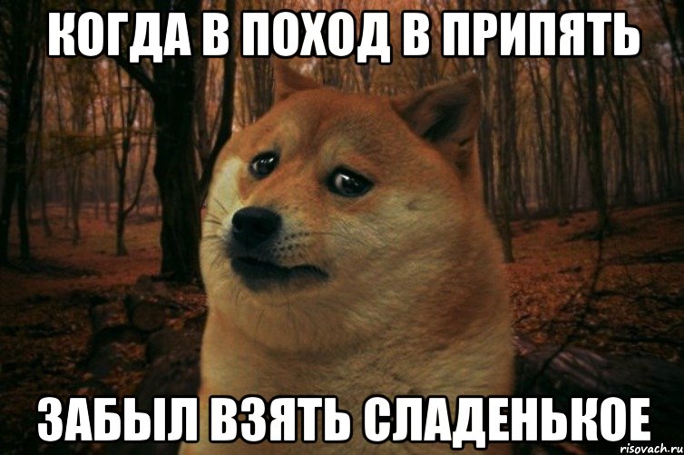Когда в поход в Припять забыл взять сладенькое, Мем SAD DOGE