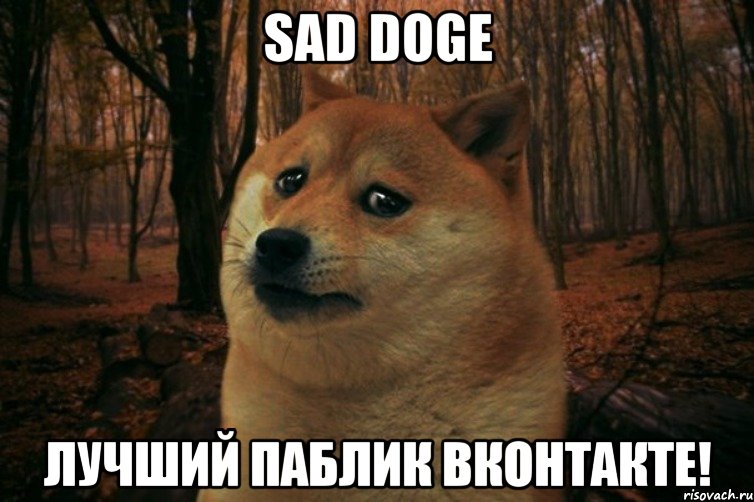 sad doge лучший паблик вконтакте!, Мем SAD DOGE