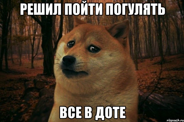 Решил пойти погулять Все в доте, Мем SAD DOGE