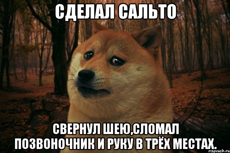 Сделал сальто свернул шею,сломал позвоночник и руку в трёх местах., Мем SAD DOGE