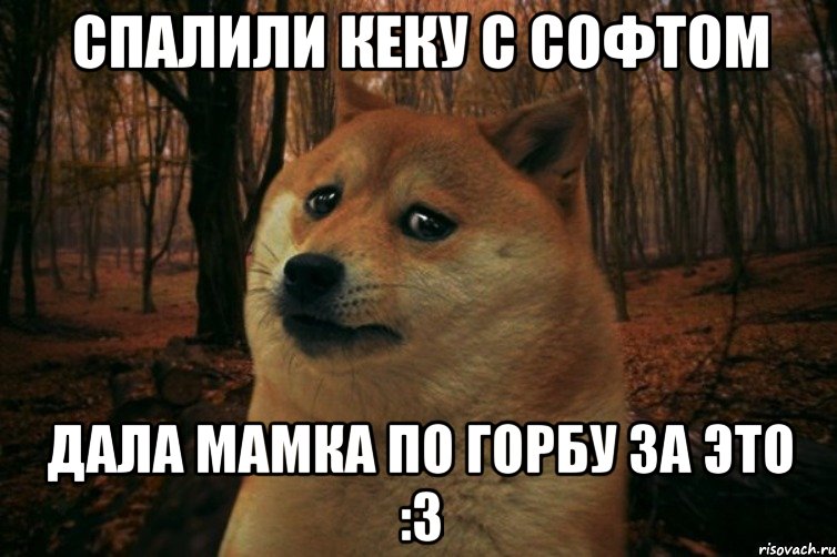 Спалили кеку с софтом Дала мамка по горбу за это :3, Мем SAD DOGE