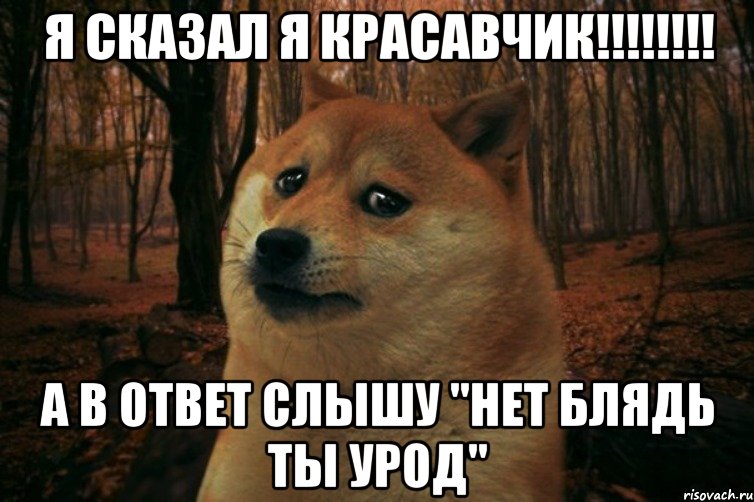 Я сказал я красавчик!!!!!!!! А в ответ слышу "нет блядь ты урод", Мем SAD DOGE