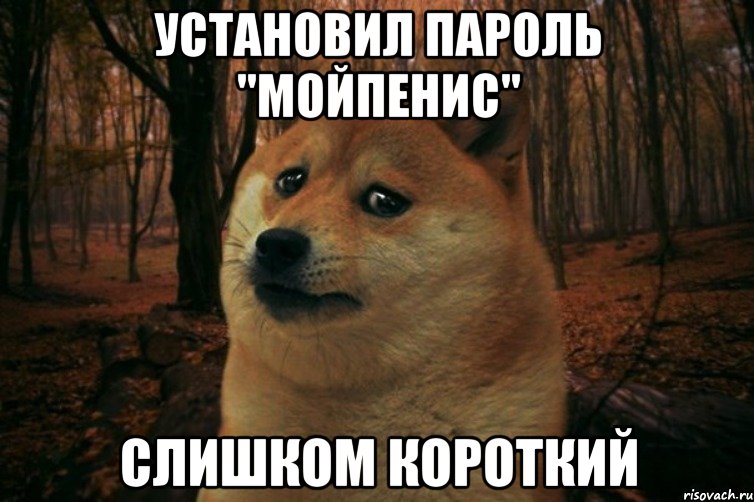 установил пароль "мойпенис" слишком короткий, Мем SAD DOGE