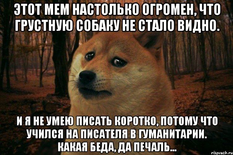 Этот мем настолько огромен, что грустную собаку не стало видно. И я не умею писать коротко, потому что учился на писателя в гуманитарии. Какая беда, да печаль..., Мем SAD DOGE