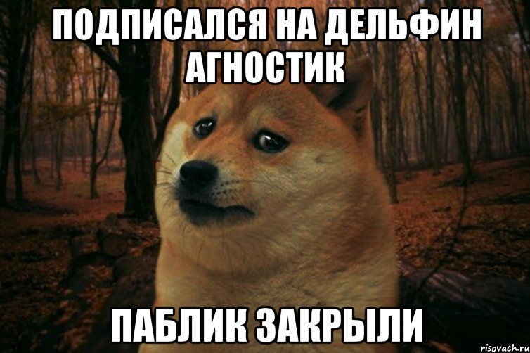 Подписался на Дельфин Агностик Паблик закрыли, Мем SAD DOGE