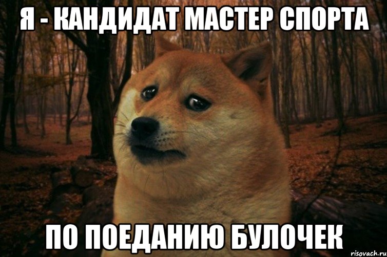 Я - кандидат мастер спорта По поеданию булочек, Мем SAD DOGE