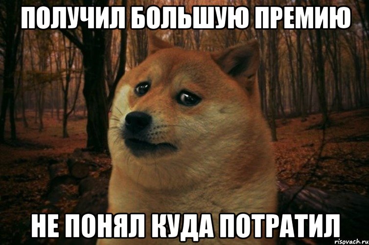 Получил большую премию Не понял куда потратил, Мем SAD DOGE