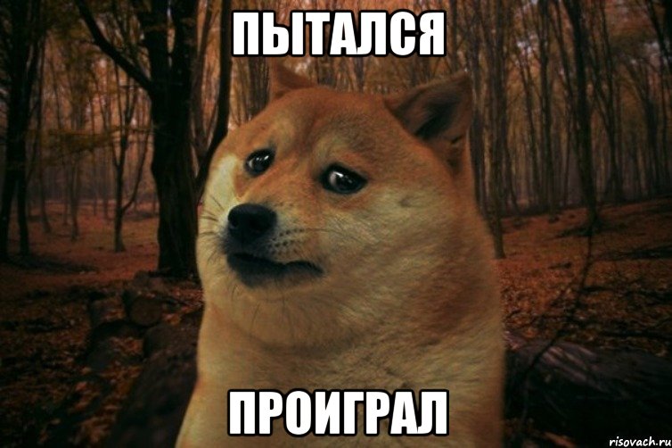 Пытался Проиграл, Мем SAD DOGE