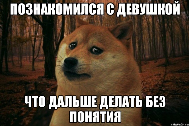 Познакомился с девушкой Что дальше делать без понятия, Мем SAD DOGE