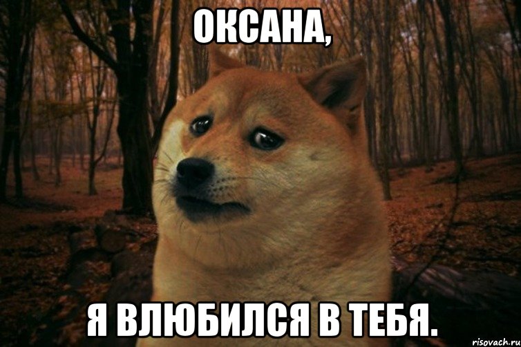 Оксана, Я влюбился в тебя., Мем SAD DOGE