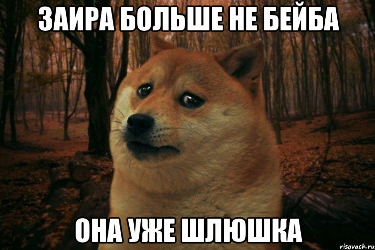 Заира больше не бейба она уже шлюшка, Мем SAD DOGE