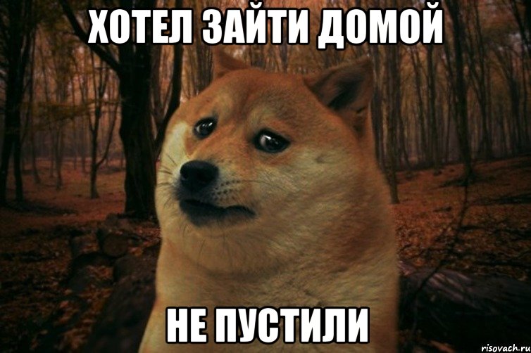 Хотел зайти домой не пустили, Мем SAD DOGE