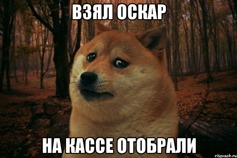 Взял Оскар На кассе отобрали, Мем SAD DOGE