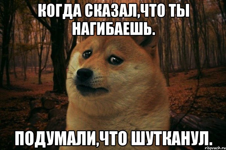 Когда сказал,что ты нагибаешь. Подумали,что шутканул., Мем SAD DOGE