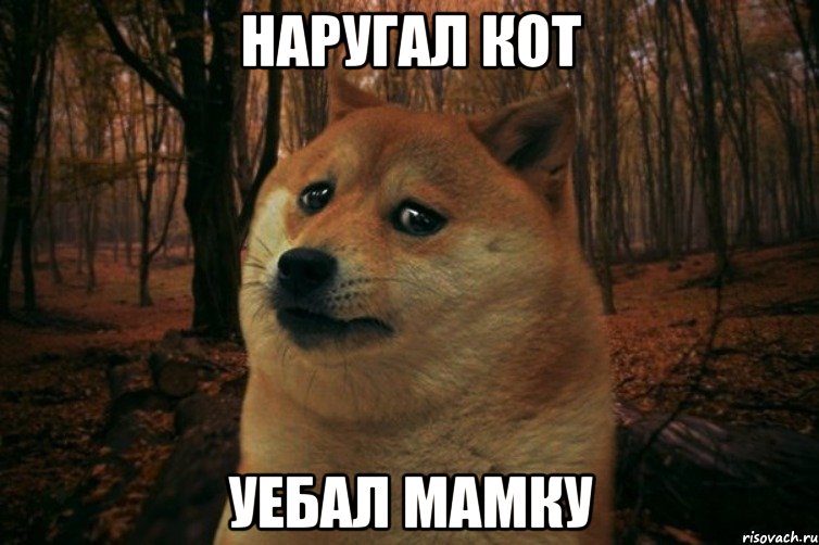 наругал кот уебал мамку, Мем SAD DOGE