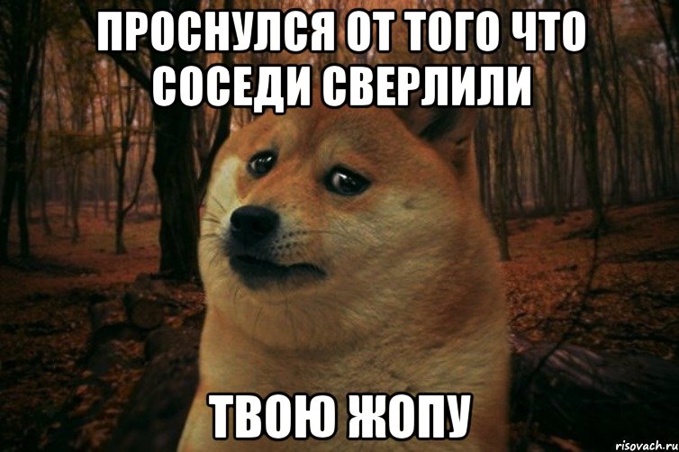 проснулся от того что соседи сверлили твою жопу, Мем SAD DOGE