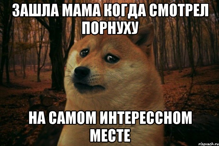 Зашла мама когда смотрел порнуху на самом интерессном месте, Мем SAD DOGE